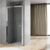 Ronal Sanswiss Arelia drzwi prysznicowe 100 cm srebrny polerowany D20T11004007